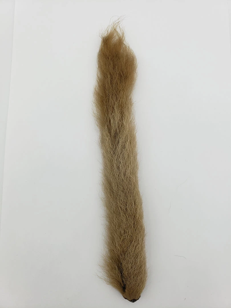 Wapsi Kiptail 7 Wapsi Kiptail