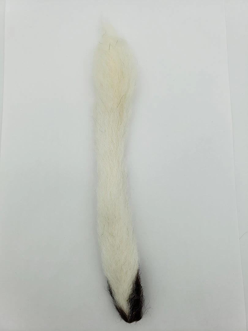 Wapsi Kiptail 8 Wapsi Kiptail