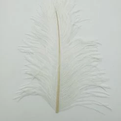 Wapsi Ostrich Plumes