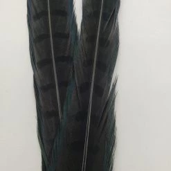 Fly Tying Wapsi Ringneck Pheasant Tail Feathers