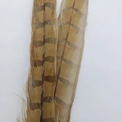 Fly Tying Wapsi Ringneck Pheasant Tail Feathers