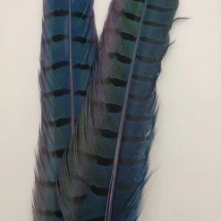 Fly Tying Wapsi Ringneck Pheasant Tail Feathers