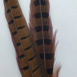 Fly Tying Wapsi Ringneck Pheasant Tail Feathers