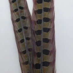 Fly Tying Wapsi Ringneck Pheasant Tail Feathers