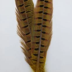 Fly Tying Wapsi Ringneck Pheasant Tail Feathers