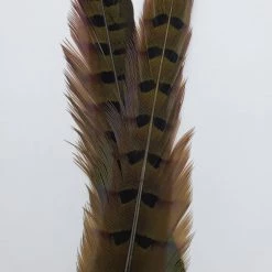 Fly Tying Wapsi Ringneck Pheasant Tail Feathers