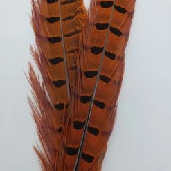 Fly Tying Wapsi Ringneck Pheasant Tail Feathers
