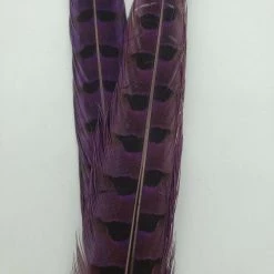 Fly Tying Wapsi Ringneck Pheasant Tail Feathers