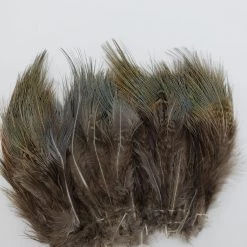 Wapsi Ringneck Pheasant Rump Hackle 8 Wapsi Ringneck Pheasant Rump Hackle