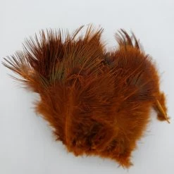 Wapsi Ringneck Pheasant Rump Hackle 10 Wapsi Ringneck Pheasant Rump Hackle