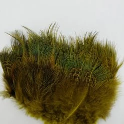 Wapsi Ringneck Pheasant Rump Hackle