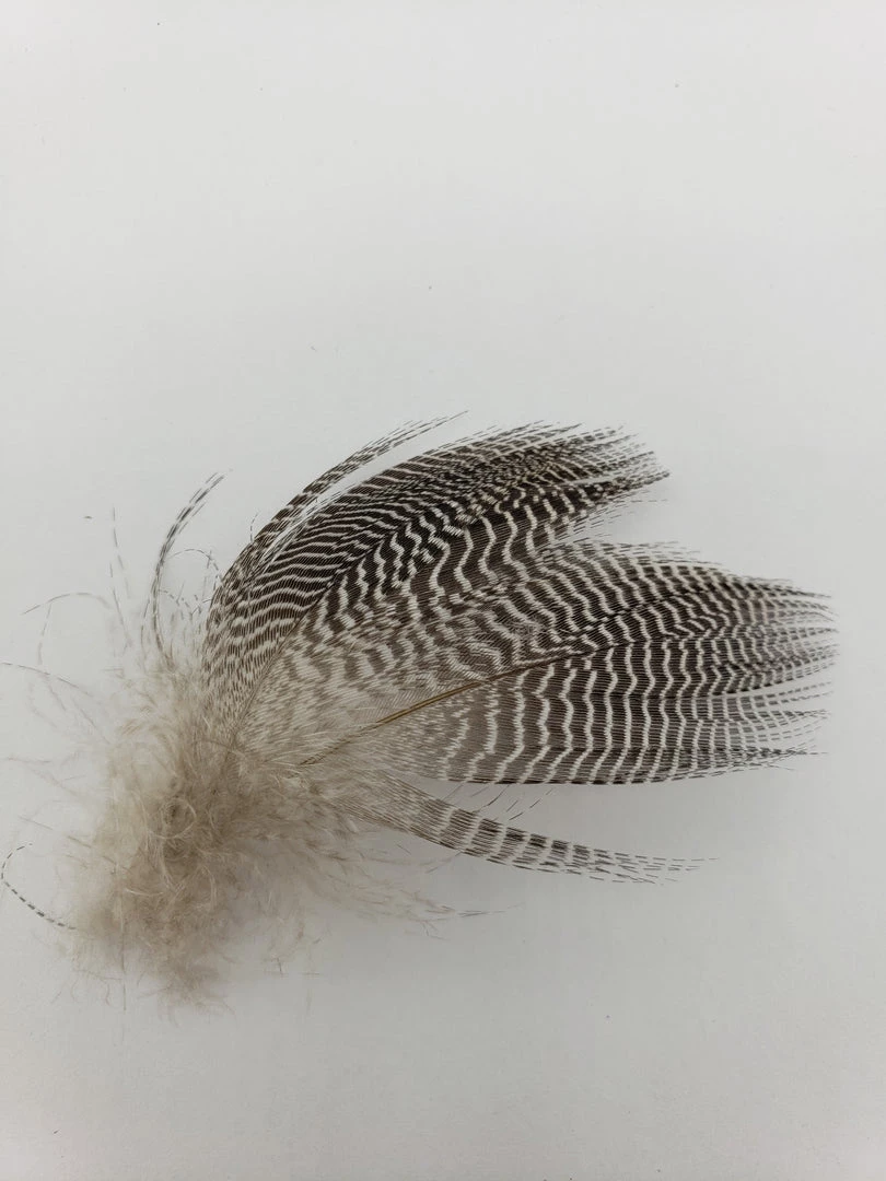 Wapsi Teal Barred Flank Fly Tying 1 Wapsi Teal Barred Flank Fly Tying