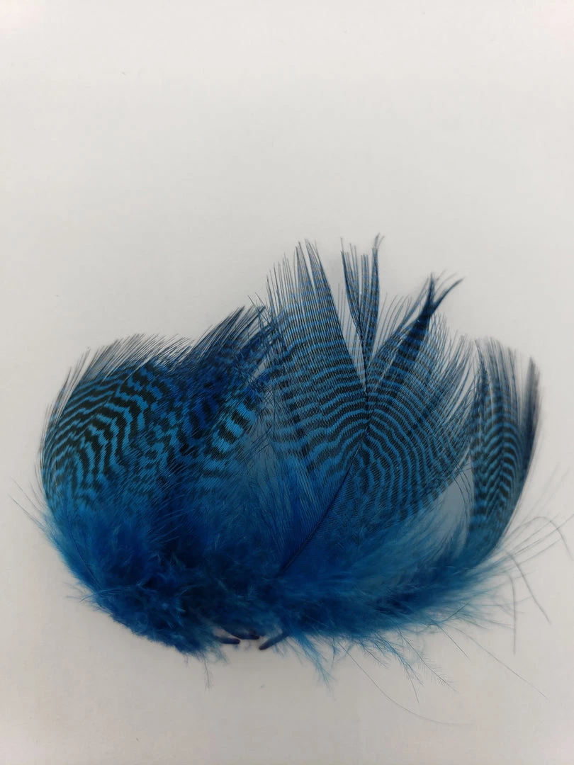 Wapsi Teal Barred Flank Fly Tying 2 Wapsi Teal Barred Flank Fly Tying