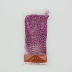 Whiting Bugger Hackle Pack