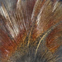 Hareline Coq De Leon Fly Tying