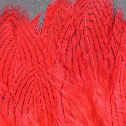 Hareline Silver Pheasant Feathers Fly Tying