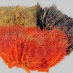 Wapsi Ringneck Pheasant Rump Hackle