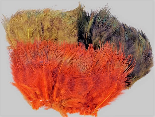 Wapsi Ringneck Pheasant Rump Hackle 1 Wapsi Ringneck Pheasant Rump Hackle