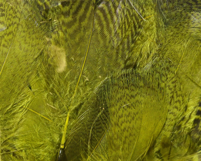 Hareline Teal Flank Feathers Fly Tying 3 Hareline Teal Flank Feathers Fly Tying