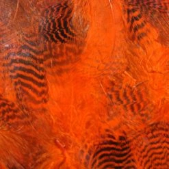 Hareline Teal Flank Feathers Fly Tying